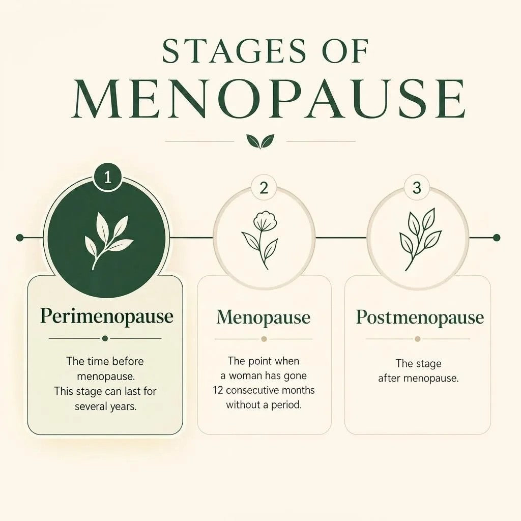 Stages of the menopause transition — Earth & Eve Perimenopause Multivitamin